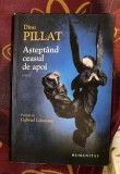 Dinu Pillat - Asteptand ceasul de apoi