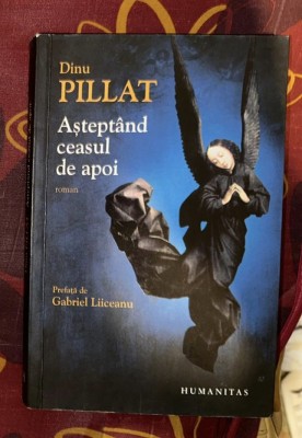 Dinu Pillat - Asteptand ceasul de apoi foto
