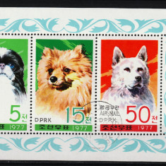 Timbre Coreea Nord, 1977 | Câini de rasă - Animale domestice | Bloc 3v | aph