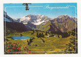 AT3 -Carte Postala-AUSTRIA- Bregenzerwald, necirculata, Fotografie