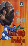 Ultimul Tango in Brooklyn - Kirk Douglas - Roman de Dragoste - Editura Dante 1994 - Carte Beletristica