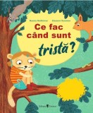 Ce fac cand sunt trista? - Nanna Nebhover - Univers
