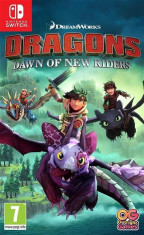 Dragons Dawn Of The New Riders Nintendo Switch foto