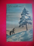 HOPCT 25038 IARNA -- FELICITARE AN NOU -CP VECHE -IP--INTREG POSTAL - ROMANIA - CIRCULATA