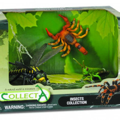 Set 3 figurine Insecte - Collecta