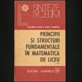 PRINCIPII ȘI STRUCTURI FUNDAMENTALE &Icirc;N MATEMATICA DE LICEU VOL. II, A. LEONTE