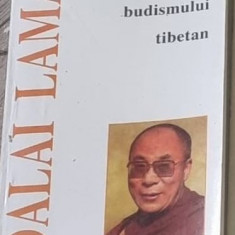 Dalai Lama - Comorile Budismului Tibetan