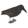 Atrapa pasari - Corb Jack Pyke