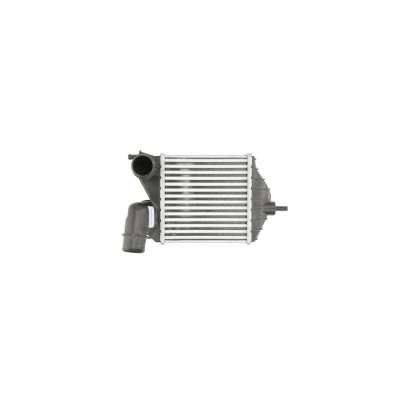 Intercooler Fiat Idea 350 Denso Dit09102 foto