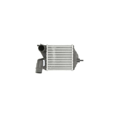 Intercooler Lancia Musa 350 Denso Dit09102 foto