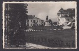 Carte Postala - Romania Piatra Neamt - Piata Kogalniceanu