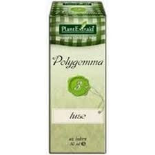 POLYGEMMA NR. 3 50ML(TUSE) foto