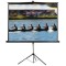 ECRAN DE PROIECTIE PE TREPIED 16:9 112&quot;/ 2.85M