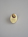 QW9 N5 9 - insigna - tematica istorica - decade of Roma inclusion 2005 - 2015, Europa