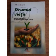 Valerio Albisetti - Drumul vietii. Cum sa recunoastem si sa valorificam...