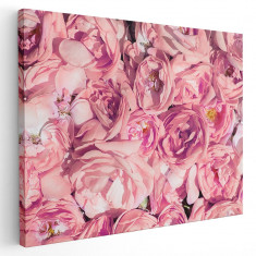 Tablou flori trandafiri roz Tablou canvas pe panza CU RAMA 20x30 cm foto