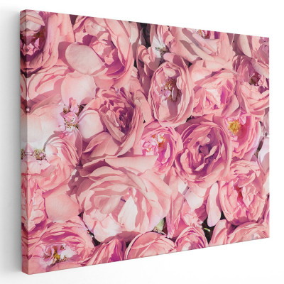Tablou flori trandafiri roz Tablou canvas pe panza CU RAMA 40x60 cm foto