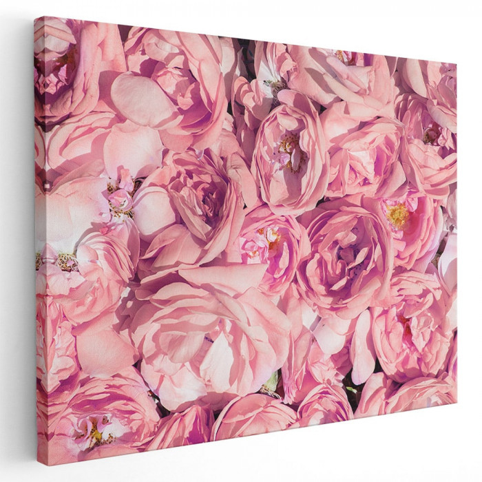 Tablou flori trandafiri roz Tablou canvas pe panza CU RAMA 20x30 cm