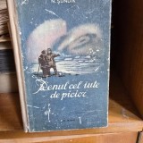 RENUL CEL IUTE DE PICIOR - N. SUNDIK