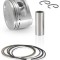 Piston Yamaha Majesty 250cc 69mm RMS