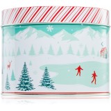DW Home Scene &amp; Stripes Cinnamon Gum Drops lum&acirc;nare parfumată 833 g