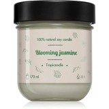 Tropicandle Blooming Jasmine lum&acirc;nare parfumată 170 ml