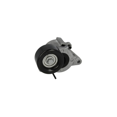 Intinzator curea NISSAN NAVARA platou sasiu D40 DAYCO APV2842 foto