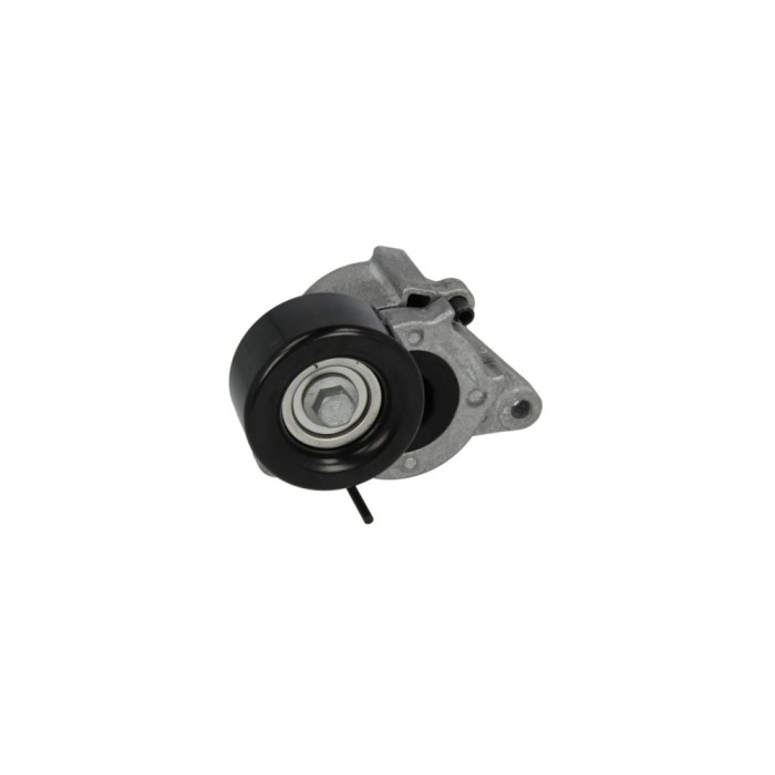 Intinzator curea NISSAN NAVARA platou sasiu D40 DAYCO APV2842