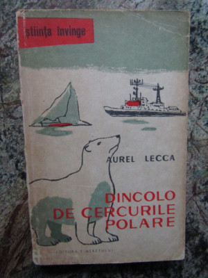 Dincolo de cercurile polare &amp;ndash; Aurel Lecca foto