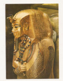 FA30-Carte Postala- EGIPT - Cairo Museum, Tut Ankh Amun&#039;s Treasures, necirculata, Fotografie