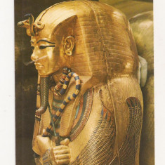 FA30-Carte Postala- EGIPT - Cairo Museum, Tut Ankh Amun's Treasures, necirculata