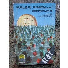 Valea timpului profund. Proza franceza contemporana