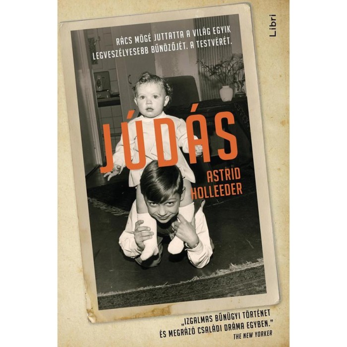 J&uacute;d&aacute;s - R&aacute;cs m&ouml;g&eacute; juttatta a vil&aacute;g egyik legvesz&eacute;lyesebb bűn&ouml;zőj&eacute;t. A testv&eacute;r&eacute;t. - Astrid Holleeder