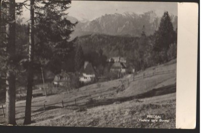CPI B13575 CARTE POSTALA - PREDEAL - VEDERE SPRE BUCEGI, RPR foto