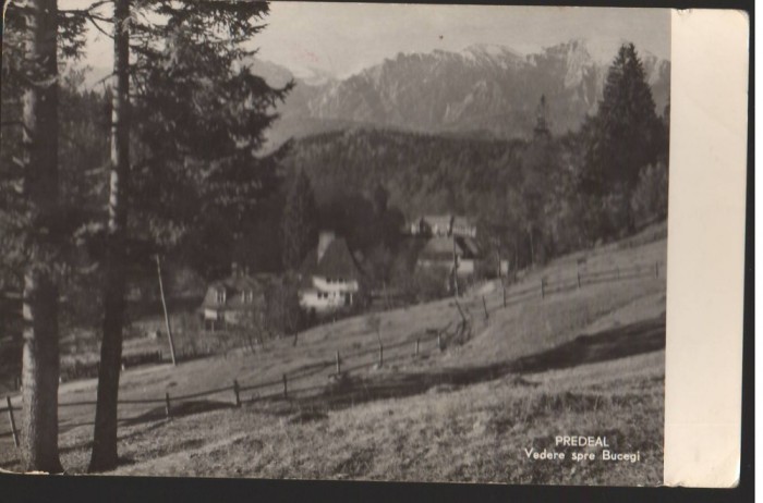 CPI B13575 CARTE POSTALA - PREDEAL - VEDERE SPRE BUCEGI, RPR