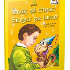 Singur pe lume - Paperback brosat - *** - Gama