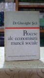 Procese ale economisirii muncii sociale (cu autograful autorului pentru Mircea Ciumara) - Gheorghe Sica