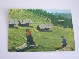 MRC - CARTI POSTALE MUNTELE MIC NR 1