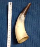 Corn de taur sau bivol 17 cm. cu ciobitura mica