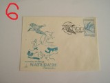 D11 - 1991 - tematica natura - pasari - Romania
