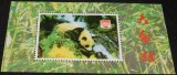 China &ndash; Coliță Panda Uriaș (Ailuropoda melanoleuca) -A61