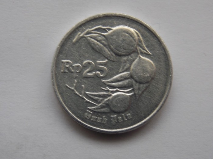 25 RUPIAH 1992 INDONEZIA