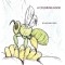 Arthropods are Needed: A Coloring Book