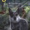 Supravietuitorii volumul 8, In toiul noptii, Erin hunter