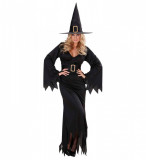 Costum Vrajitoare Mistica Halloween, Widmann