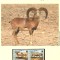Afganistan 1998 - Oile de stepă, Set WWF, 6 poze, MNH, (vezi descrierea)