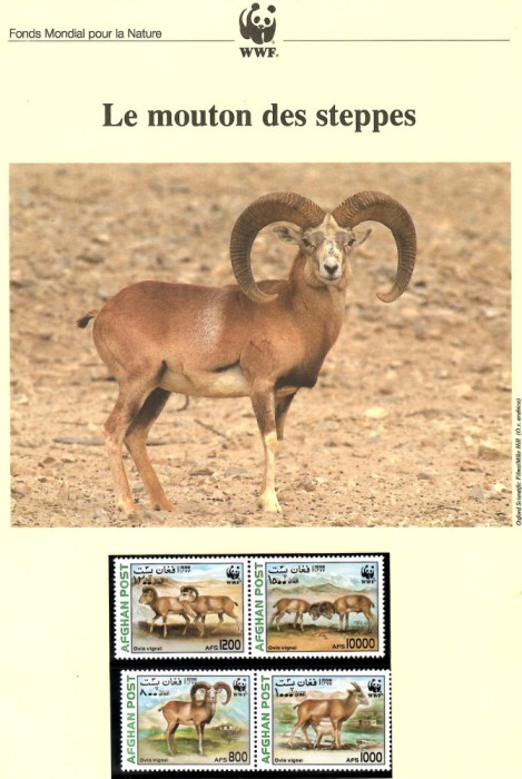 Afganistan 1998 - Oile de stepă, Set WWF, 6 poze, MNH, (vezi descrierea)