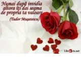 Card magnetic laminat (model 22) - Numai dupa invidia altora iti dai seama de propria ta valoare. (Tudor Musatescu)