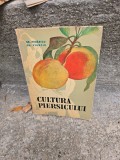 CULTURA PIERSICULUI