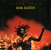 Vinil Peter Tosh ‎– Bush Doctor (VG+), Reggae